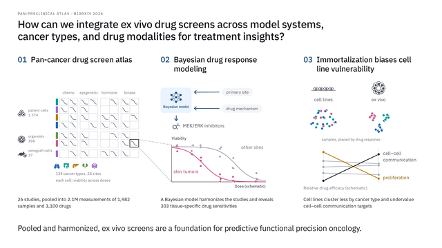 Graphical abstract: A Pan-Cancer Ex Vivo Drug Screen Atlas for Functional Precision Oncology